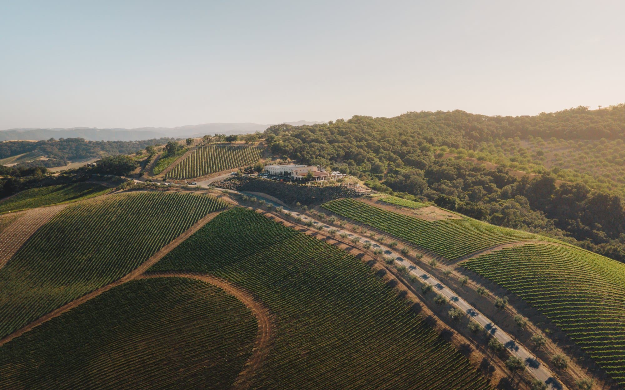 Aerial view of the DAOU Estate