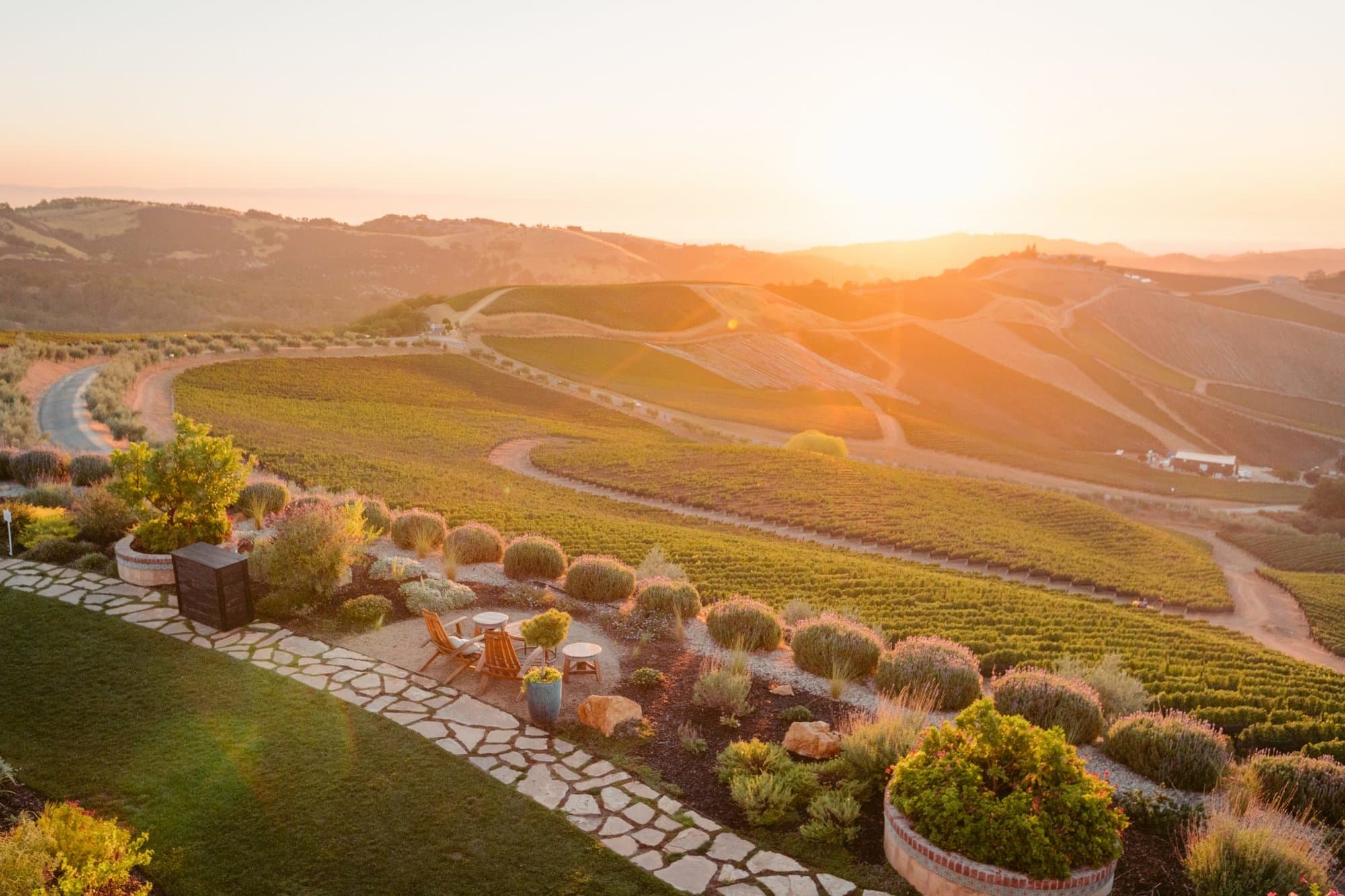 The view of the estate vineyards from the DAOU tasting room