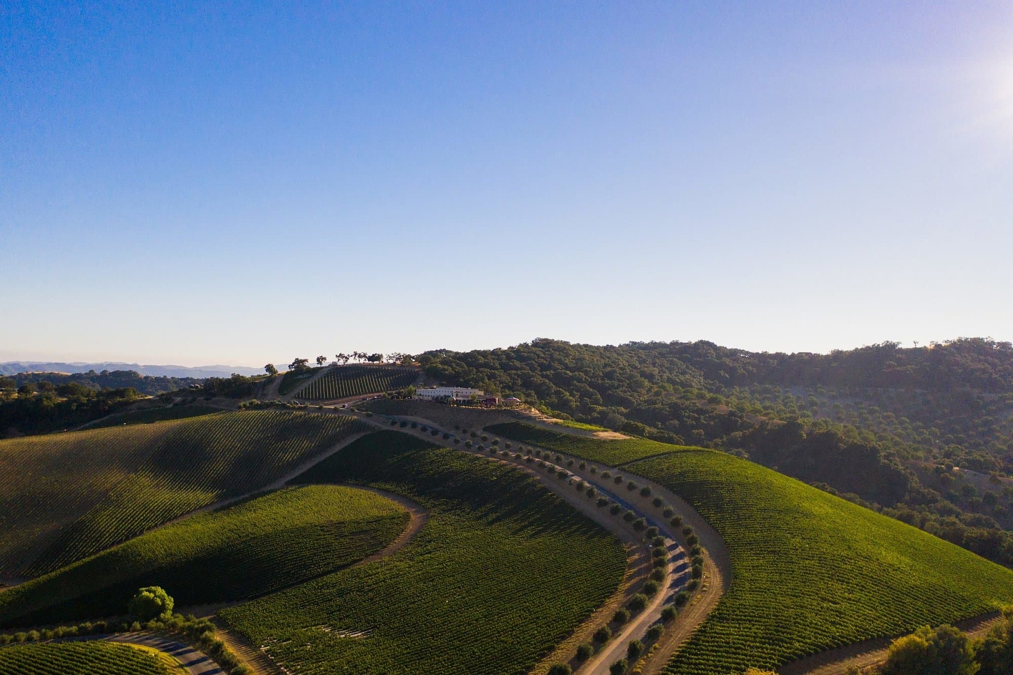 DAOU Mountain